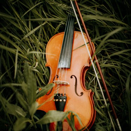 Violin for Beginners, Kids Adults Beginner Kit For Student Black Solidwood Spruce Stringed Musical Instruments