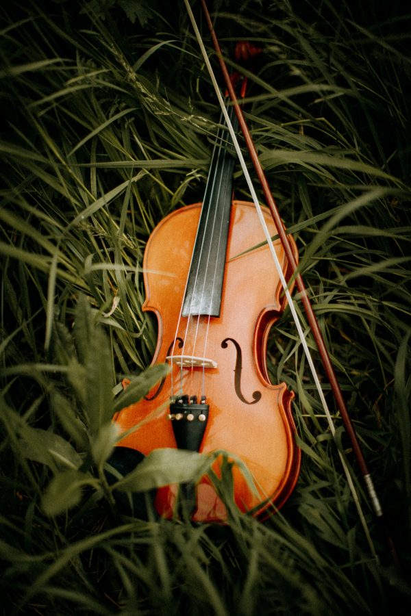 Violin for Beginners, Kids Adults Beginner Kit For Student Black Solidwood Spruce Stringed Musical Instruments