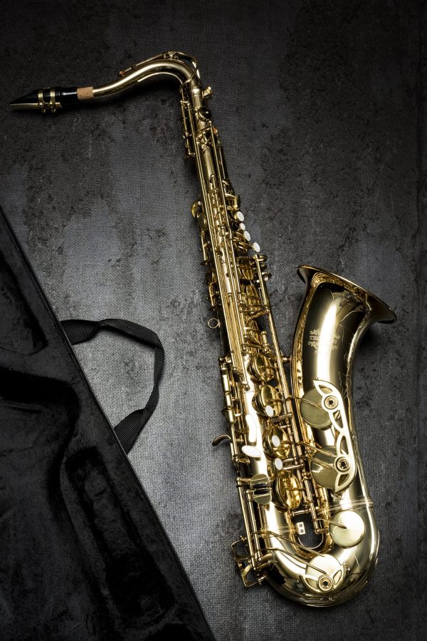 Saxophone with 11reeds,8 Pads cushions,case,carekit