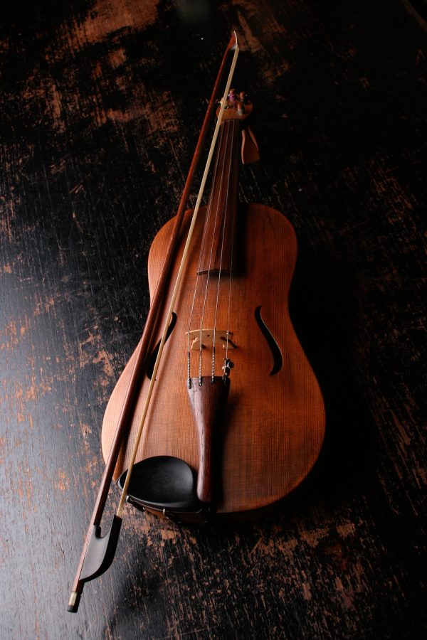 Black Solid Wood Violin  - 1-Piece Violins w/Case, Tuner, Shoulder Rest, Bow, Rosin, Bridge & Strings - Adult, Kids
